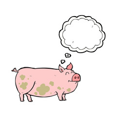 thought bubble cartoon muddy pig