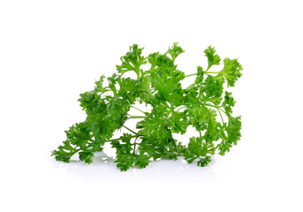 Parsley on a white background