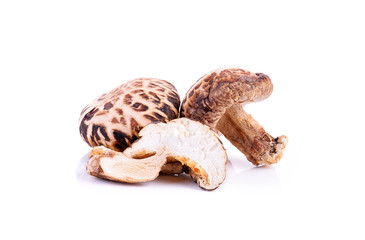 Dried mushrooms on white background