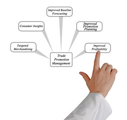 Trade Promotion Management and Analytics