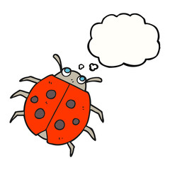 thought bubble cartoon ladybug