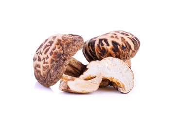 Dried mushrooms on white background