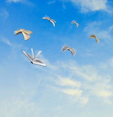 Flying books