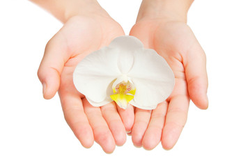 Orchid flower in hand isolated on white
