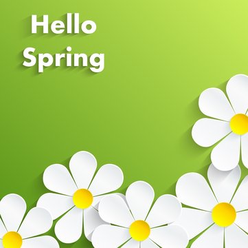 Beautiful Spring Flowers green Background