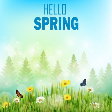 Spring background with flowers and butterflies in meadow and pine trees