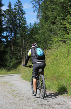 Mountainbiker im Wald_2015