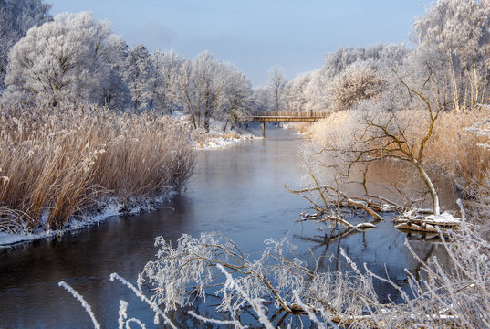 wonderful winter scene