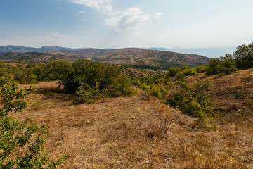 hilly terrain in the summer.