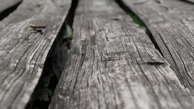 Rustic style wooden table planks outdoor close-up tilting 4K 2160p 30fps UHD video - Slow tilt over wooden board picnic table in nature 4K 3840X2160 UltraHD footage 