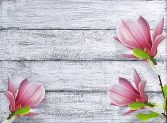 Magnolia flowers on background of shabby wooden planks