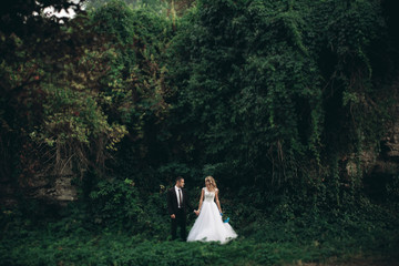 Luxury wedding couple hugging and kissing on the background gorgeous plants and cave near ancient castle