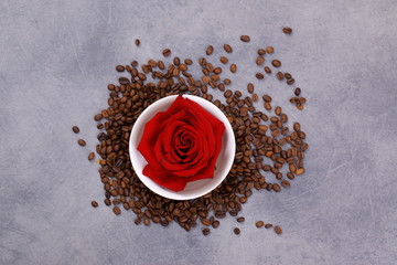 Kawa i róża