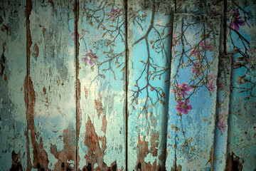 Magnolie im Frühling alter Hintergrund