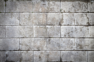 White grunge brick wall background