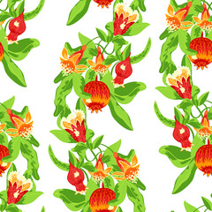 blossoming pomegranate fruits