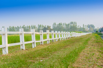 Fototapeta na wymiar white fence in farm
