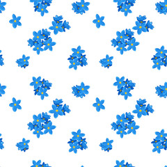 Seamless forget-me-not pattern