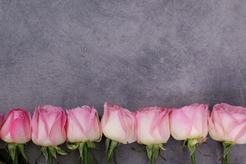 Fototapeta Różowe Róże, obraz