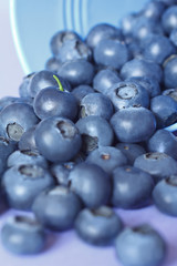 blueberry blueberries close up background