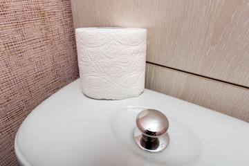 Hygienic Toilet Paper Roll in WC