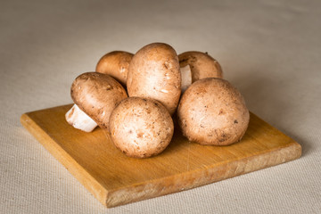 Fototapeta premium Brown Champignons Mushrooms