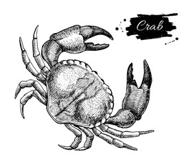 Vector vintage crab drawing. Hand drawn monochrome seafood illus - obrazy, fototapety, plakaty