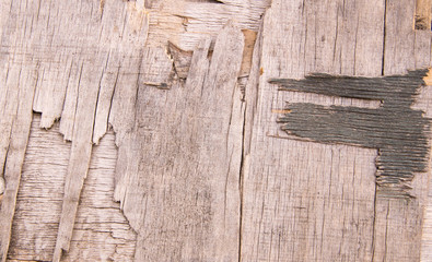 Wooden wall texture