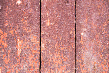 Wooden wall texture