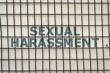 Text Sexual Harassment