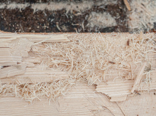 Pile of wood sawdust for background or texture