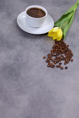 Kawa i Żółty Tulipan