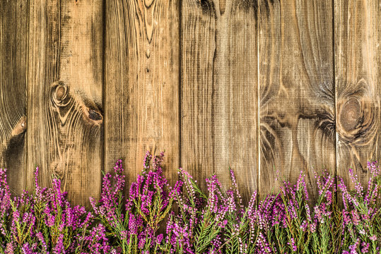 Forest heather flowers on rustic wood background. Flowers backgr