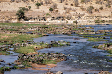 A river in the savanna - Tanzania - Africa 42