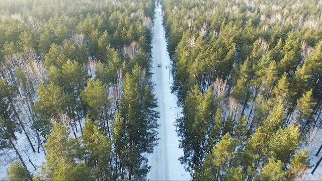 Flight of the car in the woods. Car on forest road. winter