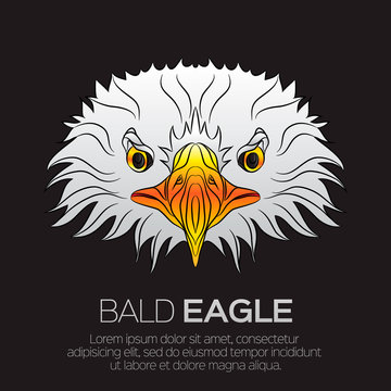 The head of American bald eagle, isolated on black background. Beautiful bird. Face portrait of eagle. Vector illustration