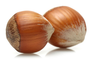 Hazelnuts