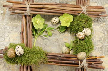 Easter frame with vintage background and seven boiled quail eggs plus two hellebore flowers