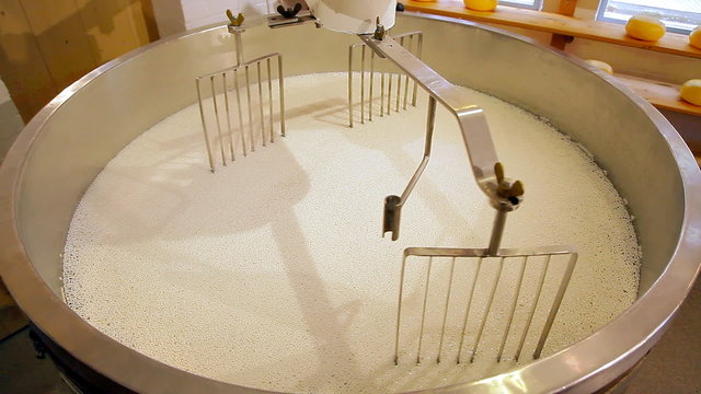 A machine for mixing ingredients for cheese. In a large barrel there are all the ingredients from which cheese will be cooked. The agitator are rotating and mixing the slurry with the help of rakes.