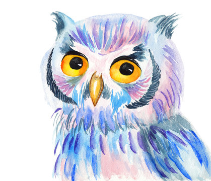 Bright colorful watercolor illustration of an owl on white background