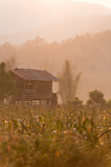 Asian country cottage