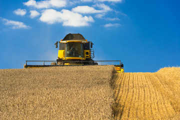 Combine harvester in action - 3011