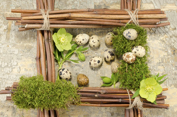 Easter frame with vintage background and eleven boiled eggs and hellebore flowers