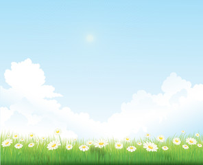 spring sky background