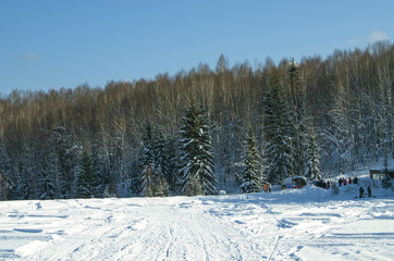 The Siberian taiga and rest in the winter, Siberia
