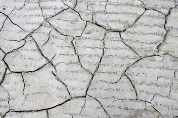 Texture of a dry soil.