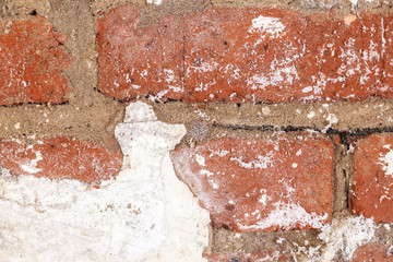 old brick cellar wall
