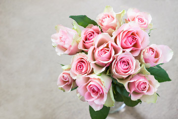 Pink rose on cream background