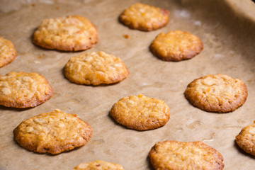 Tasty homemade oat cookies on baking tray.