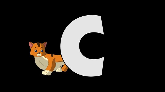 Letter C and Cat (background)
Animated animal alphabet. HD footage with alpha channel. Animal in a background of letter